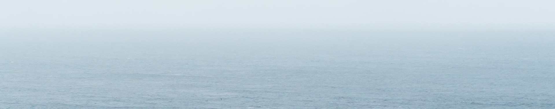 background image of ocean